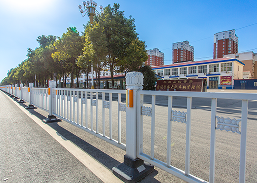 河南駐馬店車管所路段